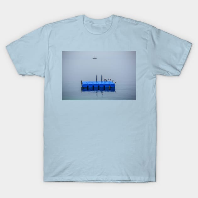 Seagulls in Sumartin, Croatia T-Shirt by jojobob